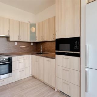Pronájem bytu 3+1 69 m² Brno Lesná, Nejedlého
