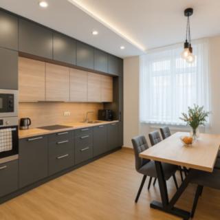 Pronájem bytu 1+1 62 m² Opava Předměstí, Na Rybníčku