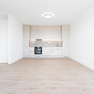 Pronájem bytu 2+kk 56 m² Plzeň, U Borského parku