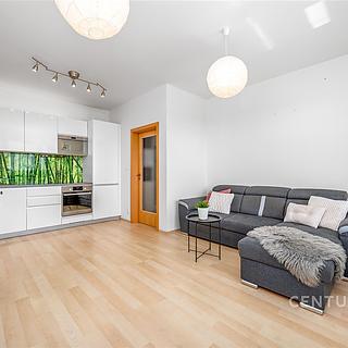 Pronájem bytu 2+kk 48 m² Praha Horní Měcholupy, Mantovská