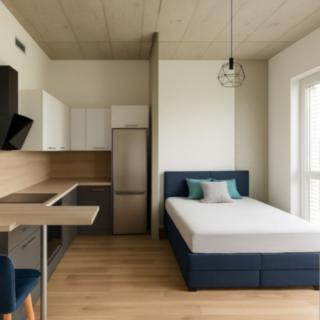 Pronájem bytu 1+kk a garsoniéry 34 m² Brno Horní Heršpice, Bohunická