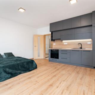 Pronájem bytu 1+kk, garsoniery 34 m² Plzeň