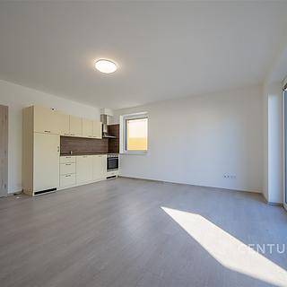 Pronájem bytu 1+kk, garsoniery 37 m² Mohelnice