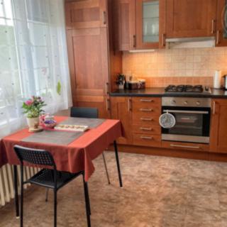 Pronájem bytu 1+1 33 m² Brno