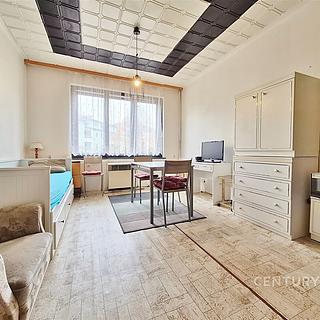 Pronájem bytu 1+kk a garsoniéry 30 m² Brno Štýřice, Gallašova