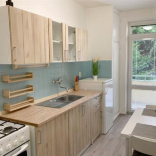 Pronájem bytu 1+1 37 m² Brno Staré, Jircháře
