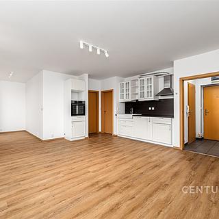 Pronájem bytu 2+kk 54 m² Králův Dvůr, Na Horizontu