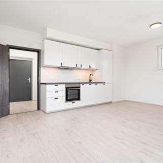 Pronájem bytu 1+kk a garsoniéry 34 m² Heřmanova Huť, U Pondu