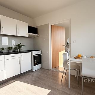 Prodej bytu 2+kk 36 m² Brno Královo Pole, Palackého třída