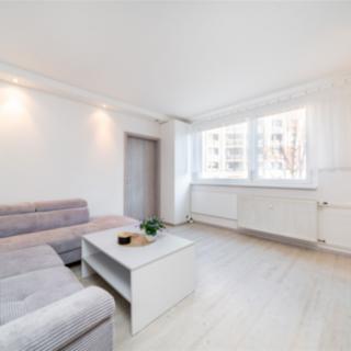 Prodej bytu 3+1 59 m² Liberec VI-Rochlice, Vlnařská