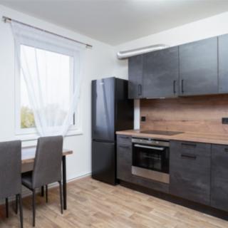 Pronájem bytu 1+kk, garsoniery 38 m² Nehvizdy