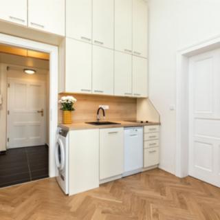 Pronájem bytu 1+1 35 m² Praha