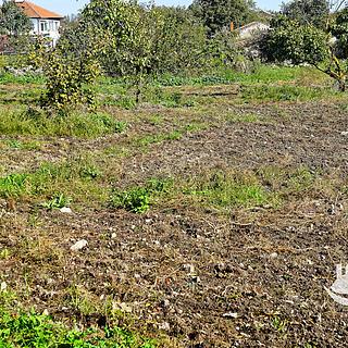 Prodej stavební parcely, 2000m²