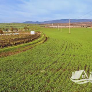 Prodej stavební parcely, 423m²