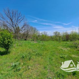 Prodej ostatních pozemků, 2319m²