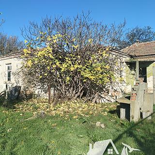 Prodej rodinného domu 60 m² v Bulharsku