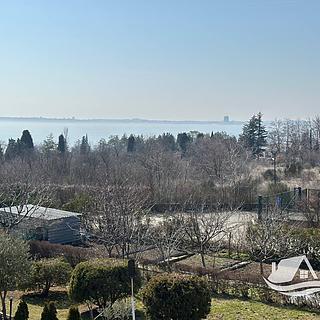 Prodej bytu 1+1, 106m&sup2;