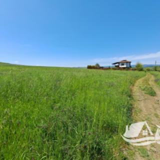 Prodej stavební parcely, 1275m²