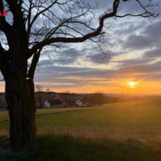 Prodej stavební parcely 637 m² Hlohovice Svinná