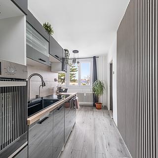 Pronájem bytu 2+1 53 m² Mladá Boleslav II, U stadionu