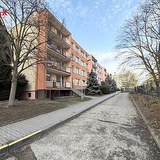 Pronájem bytu 2+kk 46 m² Louny, Šafaříkova