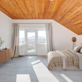 Prodej rodinného domu 300 m² Nespeky