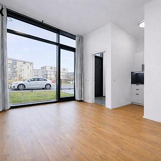 Pronájem bytu 1+kk a garsoniéry 42 m² Praha Žižkov, Malešická