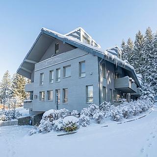 Prodej bytu 1+kk, garsoniery 32 m² Harrachov