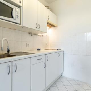 Pronájem bytu 1+kk a garsoniéry 28 m² Praha Kyje, Lásenická