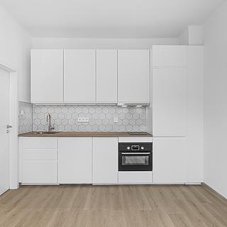 Pronájem bytu 1+kk a garsoniéry 27 m² Praha Libeň, Drahobejlova