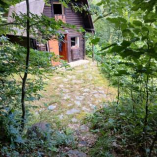 Prodej chaty 35 m² Hradištko Pikovice