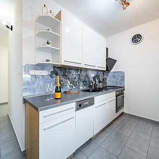 Prodej bytu 2+kk 47 m&sup2; České Budějovice