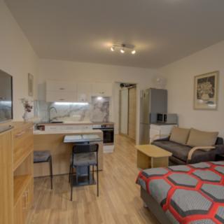 Prodej bytu 1+kk a garsoniéry 35 m² Praha Libeň, Novovysočanská