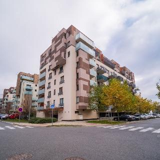 Prodej bytu 1+kk, garsoniery 32 m² Praha