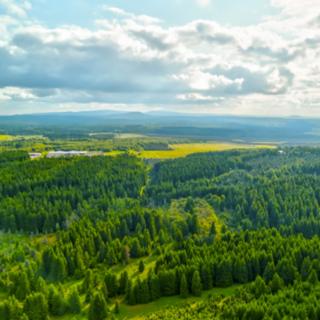 Prodej lesa 668 028 m² Hora Svatého Šebestiána