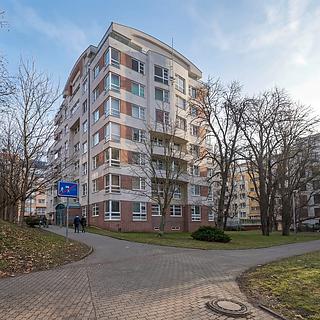 Pronájem bytu 4+kk 125 m² Praha Vysočany, Paříkova