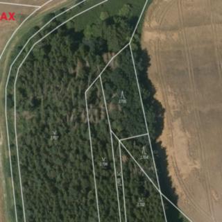 Prodej ostatních pozemků 11138 m² Panoší Újezd