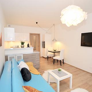 Pronájem bytu 1+kk, garsoniery 30 m² Praha