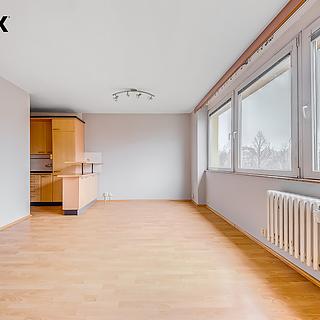 Pronájem bytu 1+kk, garsoniery 35 m&sup2; Praha