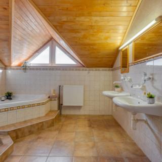 Prodej rodinného domu 300 m² Nespeky