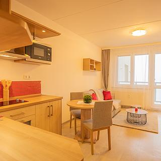 Pronájem bytu 1+kk a garsoniéry 27 m² České Budějovice 2, Dlouhá