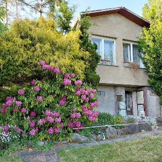 Prodej chaty 31 m² Ústí nad Labem, Černá cesta