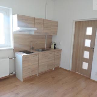 Pronájem bytu 1+1 40 m² Ústí nad Labem, Všebořická
