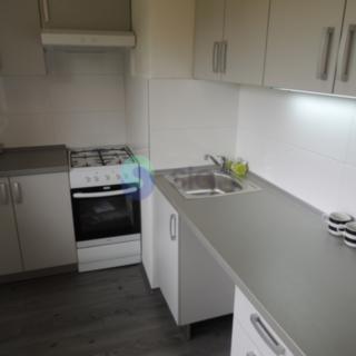 Pronájem bytu 1+1 35 m² Ostrava Výškovice, Staňkova