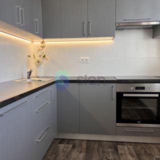 Pronájem bytu 3+1 68 m² Ostrava Dubina, Aloise Gavlase