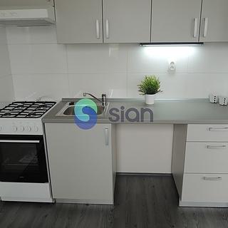 Pronájem bytu 2+1 44 m² Ostrava Dubina, Václava Košaře