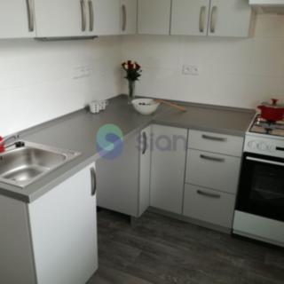 Pronájem bytu 1+1 39 m² Ostrava