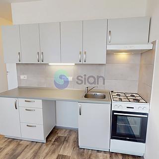 Pronájem bytu 1+1 38 m² Ostrava
