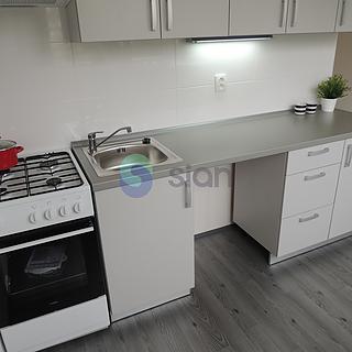 Pronájem bytu 1+1 29 m² Ostrava Moravská, Petra Křičky