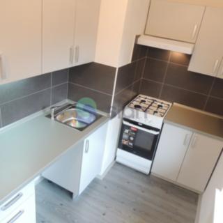 Pronájem bytu 1+1 35 m² Ostrava Výškovice, 29. dubna